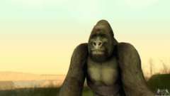 Gorilla (Mammal) for GTA San Andreas