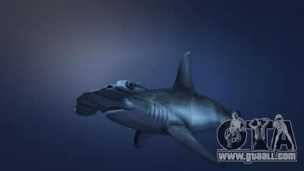The hammerhead shark from GTA 5