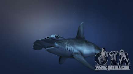 The hammerhead shark from GTA 5