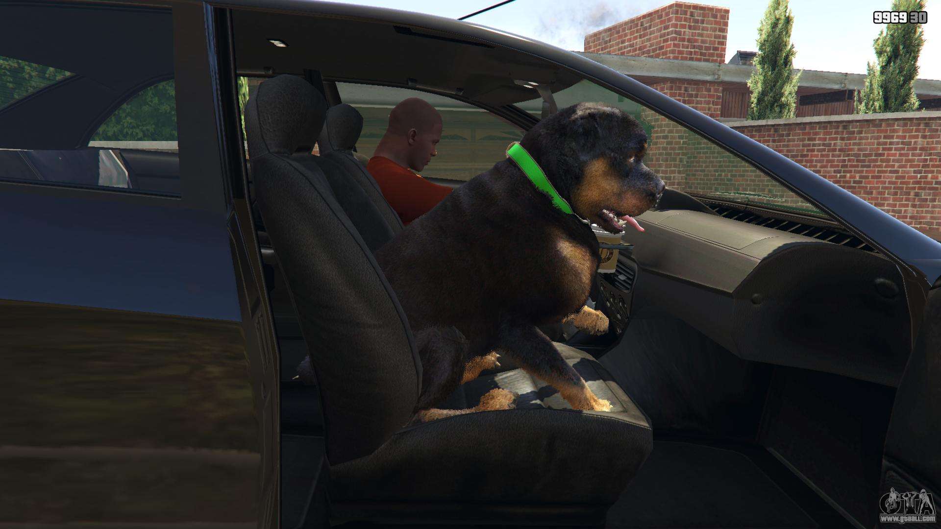 GTA5 DOG MOD GTA Sa Andreas Android New Cleo Mod, Franklin Chop Dog Mod  GTA SA