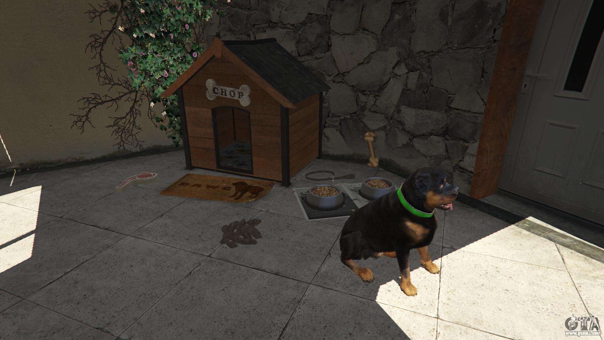 Missionaris Zuivelproducten Begrafenis How to train a dog in GTA 5