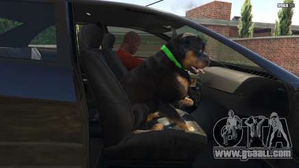 How to train a dog in GTA 5