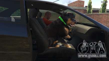 How to train a dog in GTA 5