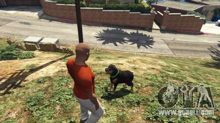 Walking the dog from GTA 5