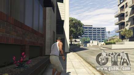 Stealth in GTA 5