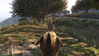 How to become a chicken in GTA 5.
