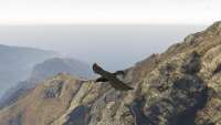 In GTA 5 you can turn into a Raven!