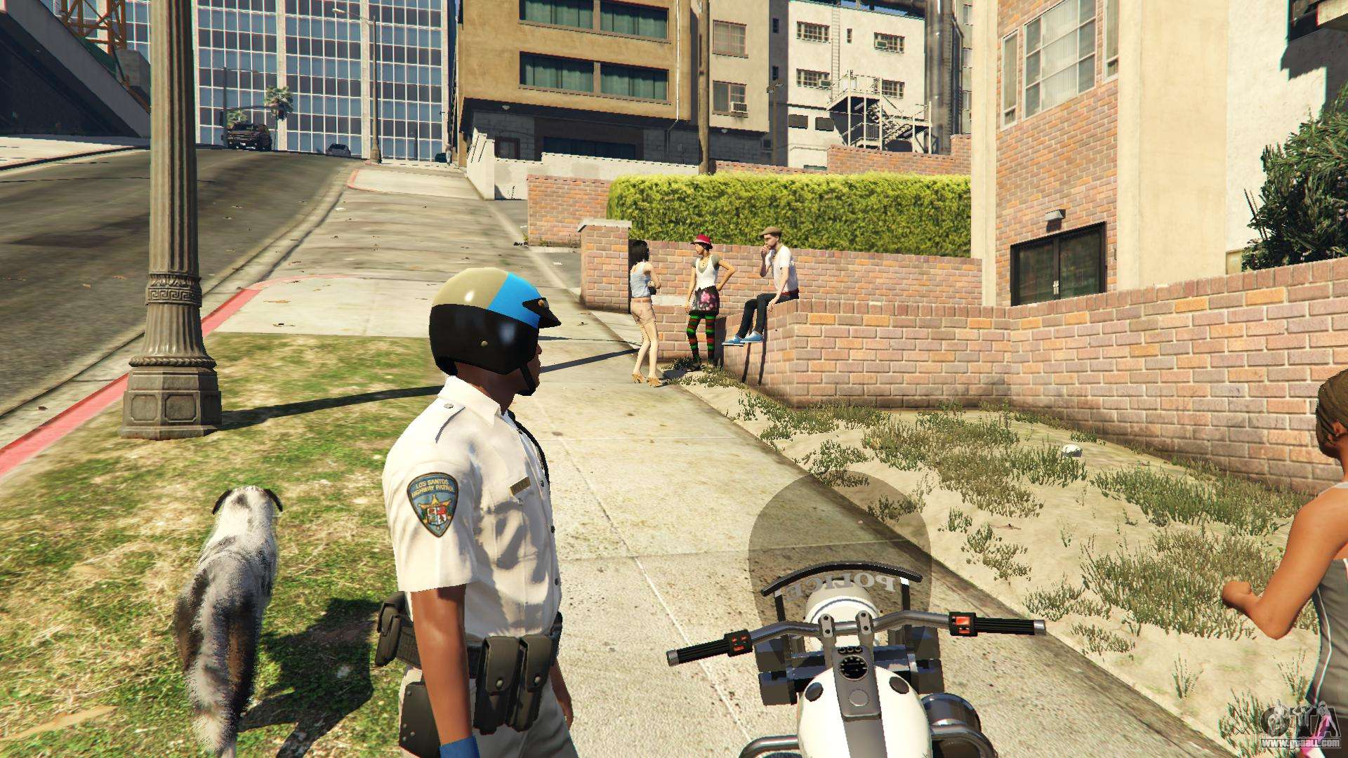 Cop in gta 5 фото 46