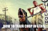 How to train Chop in GTA 5