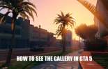 Views gallery GTA 5