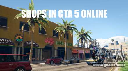 Variety stores in GTA 5