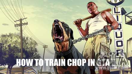 Chop the dog: how to train and train in GTA 5