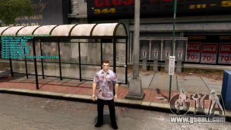 Information about the player for GTA 4
