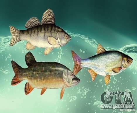 New fish (freshwater) for GTA San Andreas