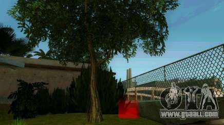 Apple Tree for GTA San Andreas