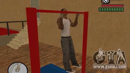 Training and Charging for GTA San Andreas