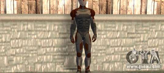Gray Fox