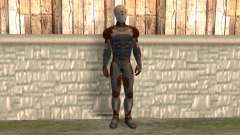 Gray Fox for GTA San Andreas