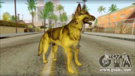 Dog Skin v1 for GTA San Andreas