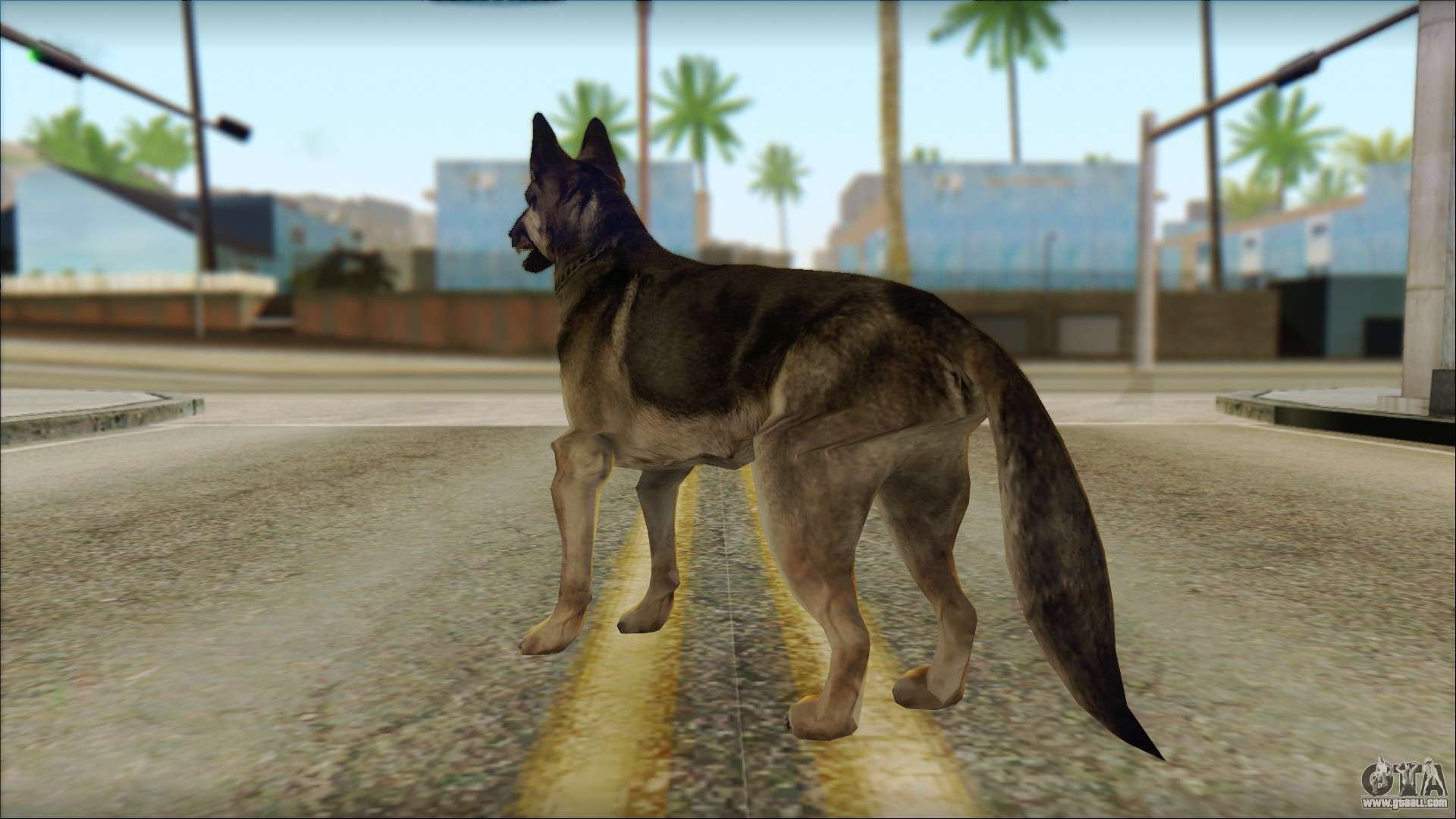 gta san andreas dog