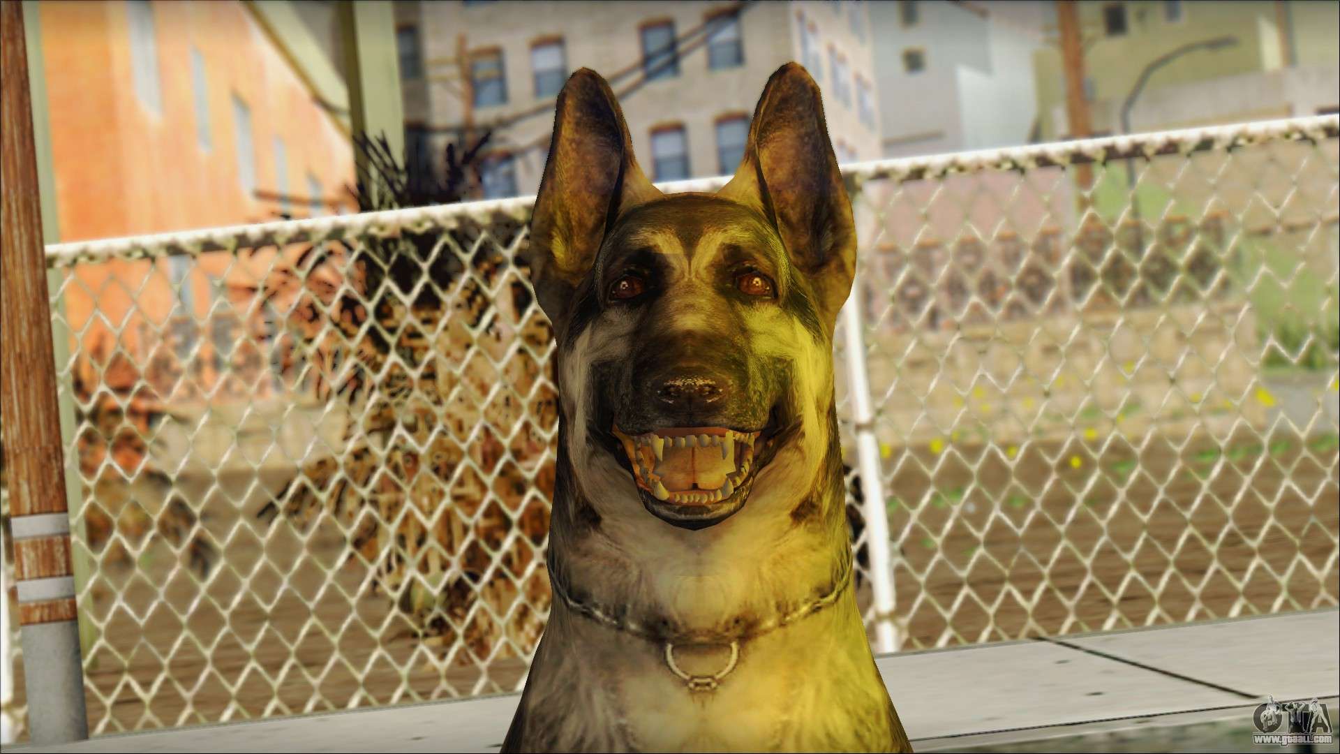 gta san andreas dog