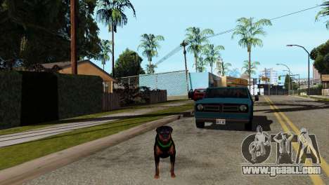 The possibility of GTA V to play for animals for GTA San Andreas