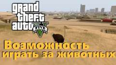 The possibility of GTA V to play for animals for GTA San Andreas