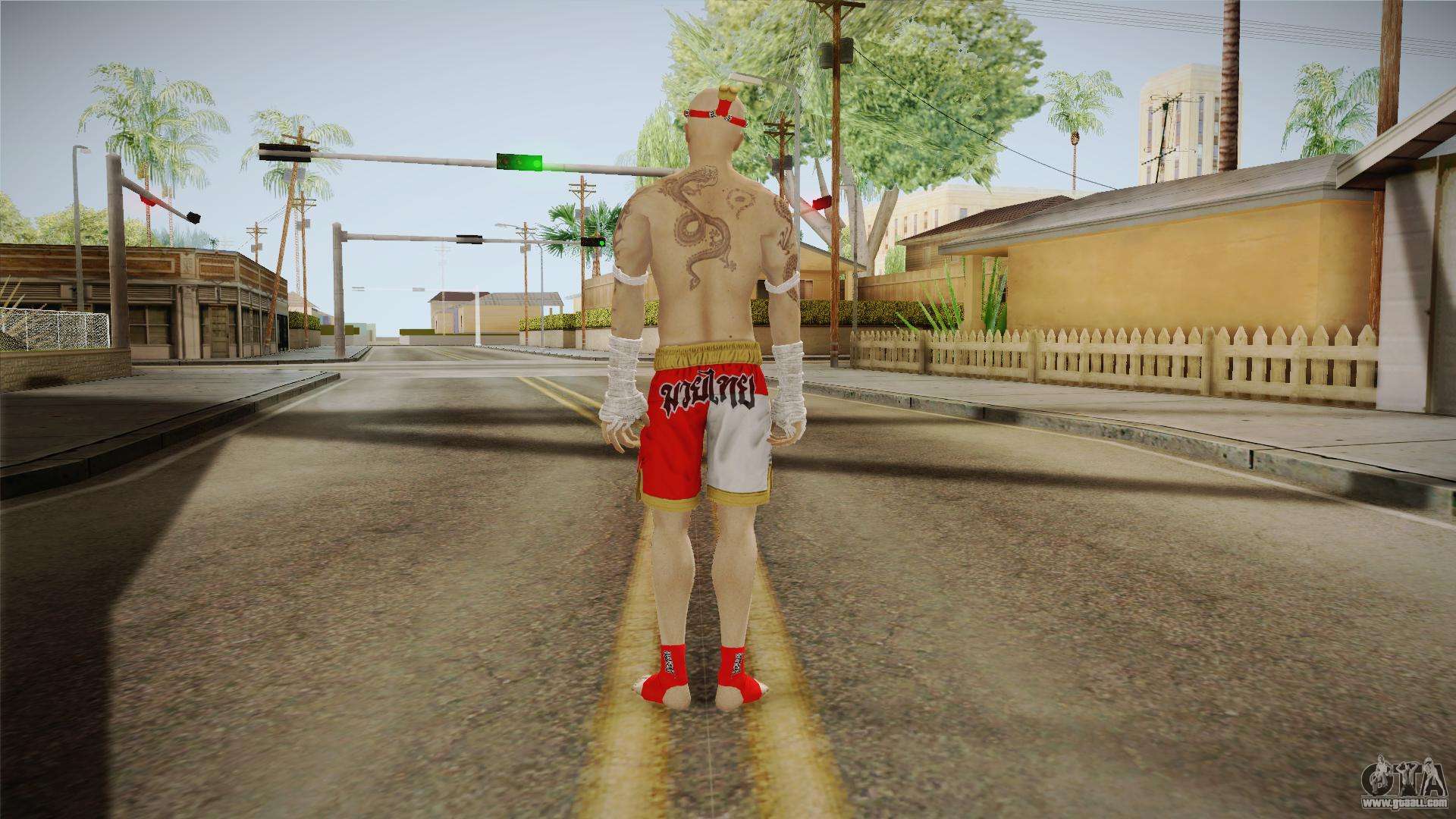 Sleeping Dogs HUD image - GTA San Andreas Shenmue Total Conversion mod for  Grand Theft Auto: San Andreas - ModDB