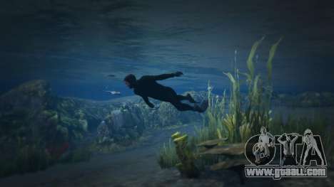 GTA 5 Diving Motion 1.4