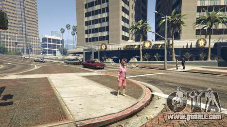 GTA 5 Traffic Checking v1