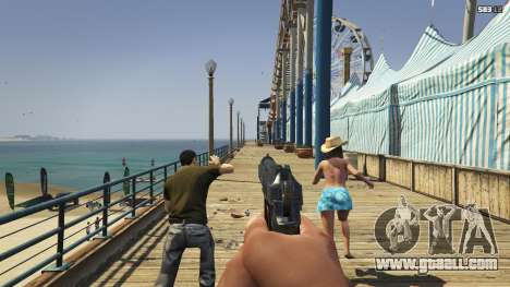 GTA 5 Crime Witness 1.1