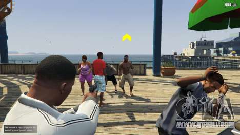 GTA 5 Crime Witness 1.1