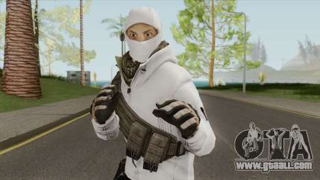 Arctic Leet Skin V3 (Counter-Strike Online 2) for GTA San Andreas