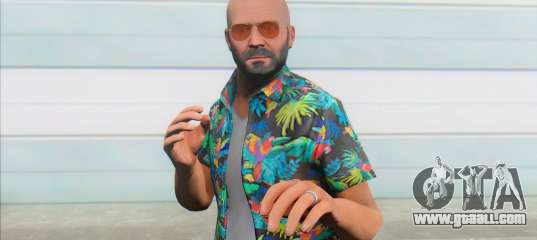 GTA v Michael Payne