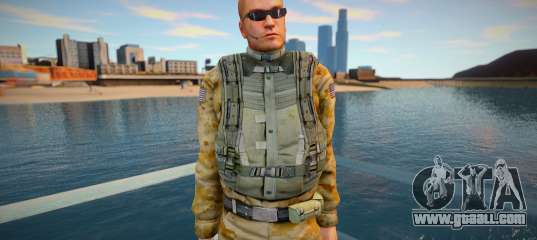 Punisher USA army