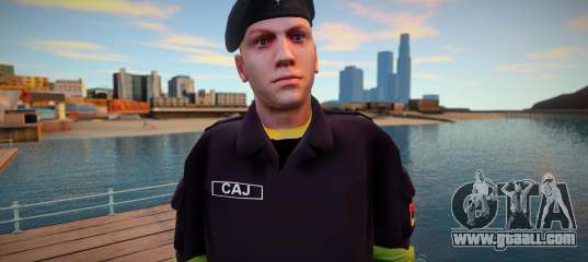 SAJ Skin v1