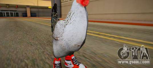 Galo de tenis