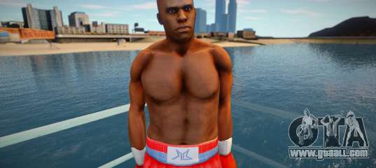 boxer