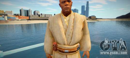 Master Windu from Jedi Academy
