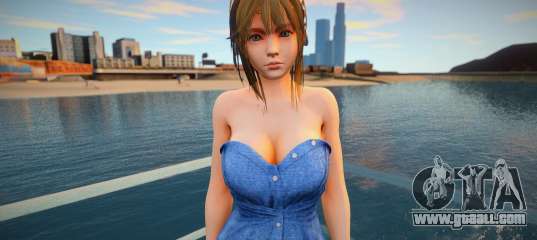 Misaki Denim Dress Skin