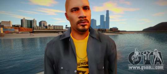 Vagos (GTA V) v2