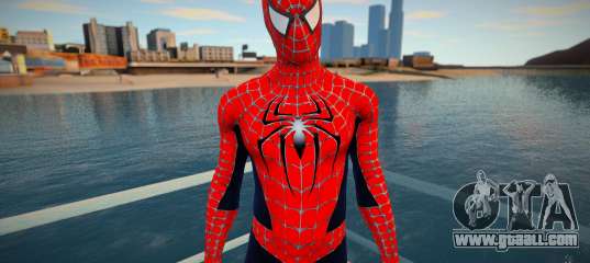 Spiderman 2004 Suit