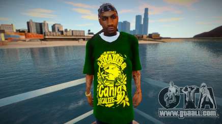 SeanWayne for GTA San Andreas