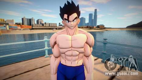 Gohan no shirt from Dragon Ball Xenoverse 2 for GTA San Andreas