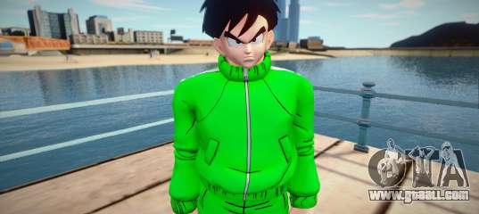 Gohan sportswear from Dragon Ball Xenoverse 2