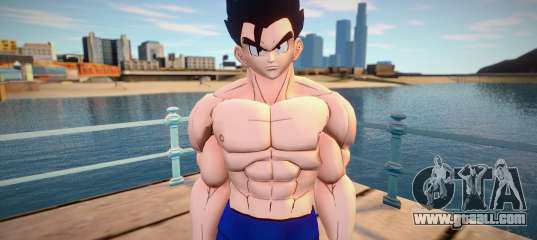 Gohan no shirt from Dragon Ball Xenoverse 2