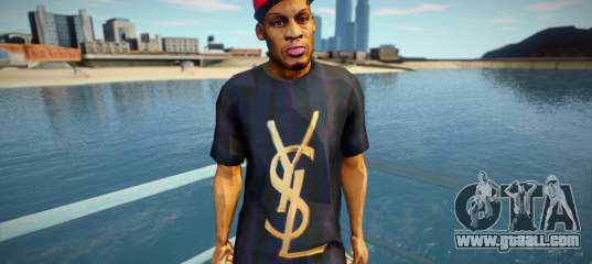 YSL skin