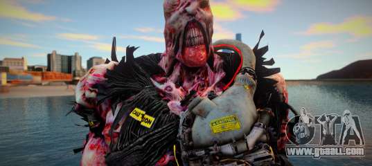 Nemesis Dest