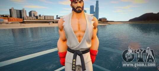 Ryu skin