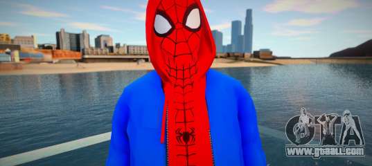 Spiderman Sportwear